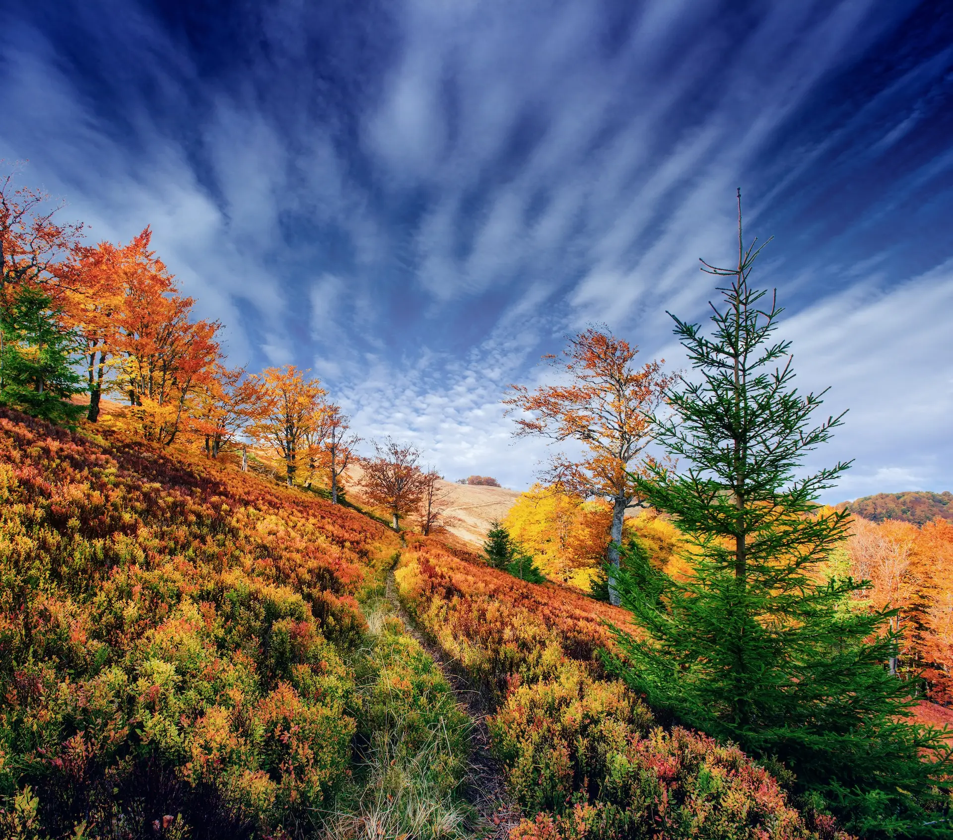 St Cuthbert's Way