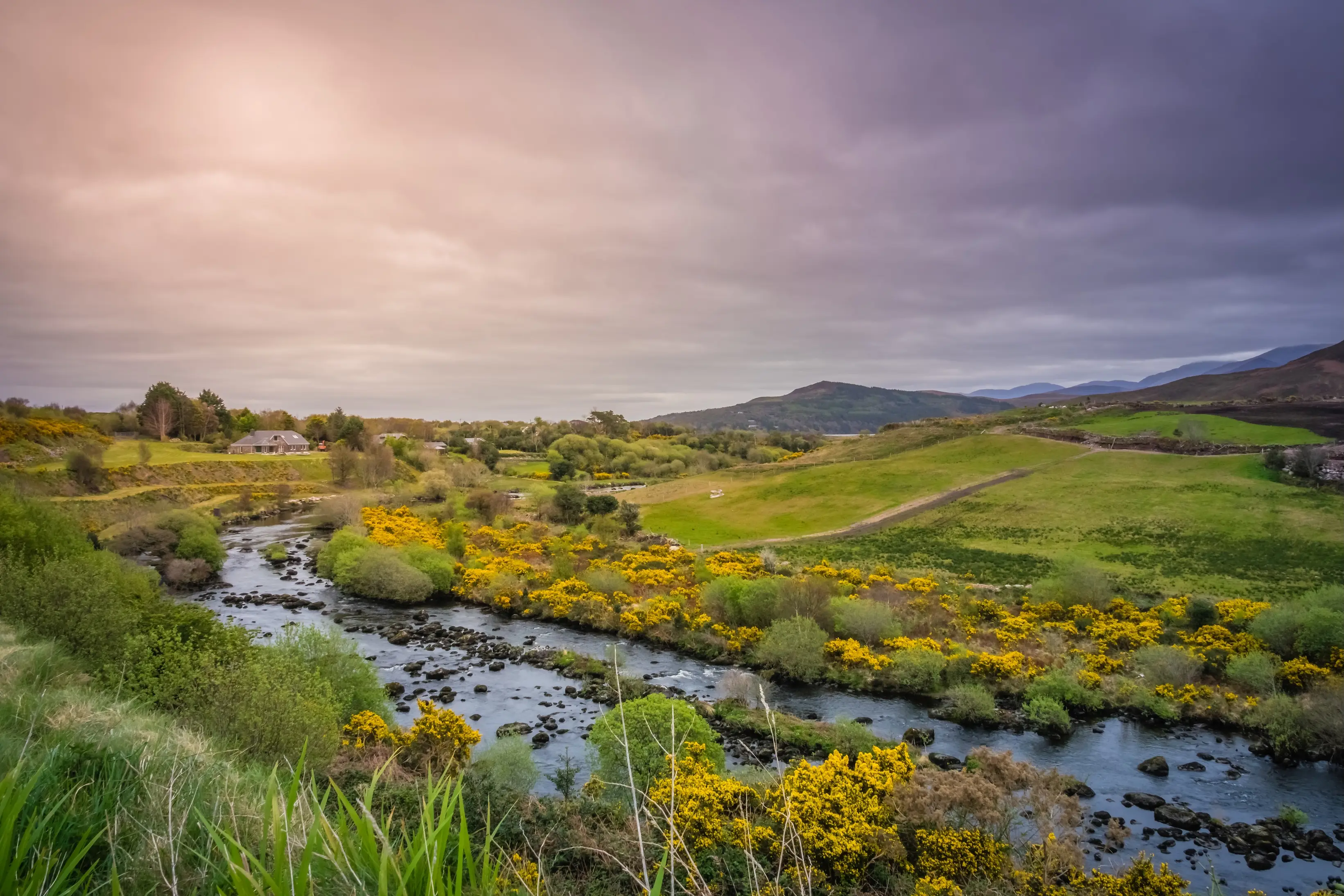 Soft rolling rural landscape